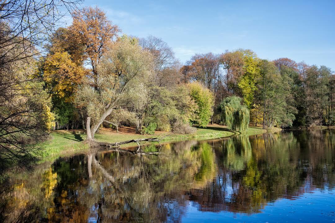 Pomnik Mikołaja Kopernika